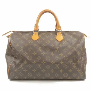 LOUIS VUITTON - Monogram Speedy Bag