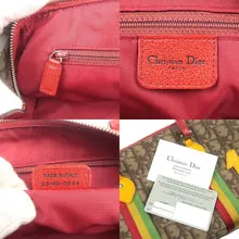 CHRISTIAN DIOR - Rasta Trotter Handbag
