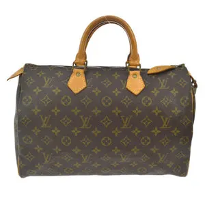 LOUIS VUITTON - Monogram Speedy Bag